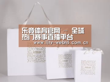 项目名称十一