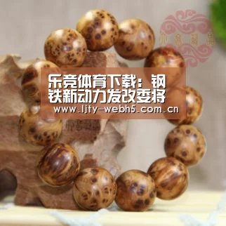 乐竞体育下载:钢铁新动力发改委将从七方面下手(图3) 乐竞体育平台