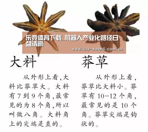乐竞体育