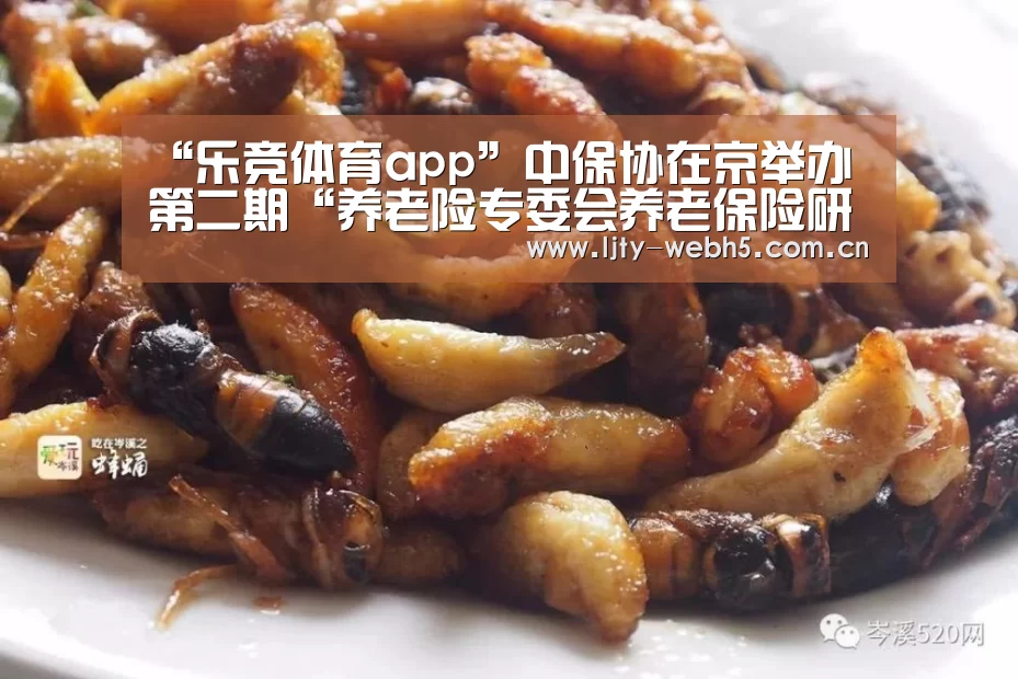 乐竞体育官网