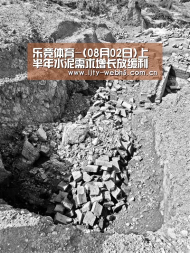 乐竞体育-(08月02日)上半年水泥需求增长放缓利润大幅增长(图2) 乐竞体育平台